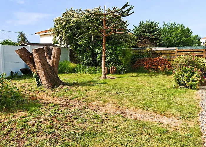 Les Chouans Nyaraló *